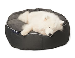 Pet Lounge outdoor bed
